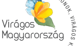 viragos-magyarorszag-verseny-2020